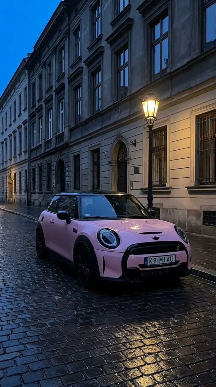 Kadr z filmu: MINI szuka właściciela