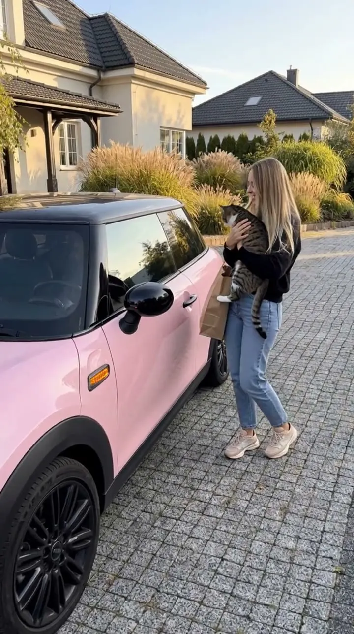 Kadr z filmu: Francesca i Comfort Access