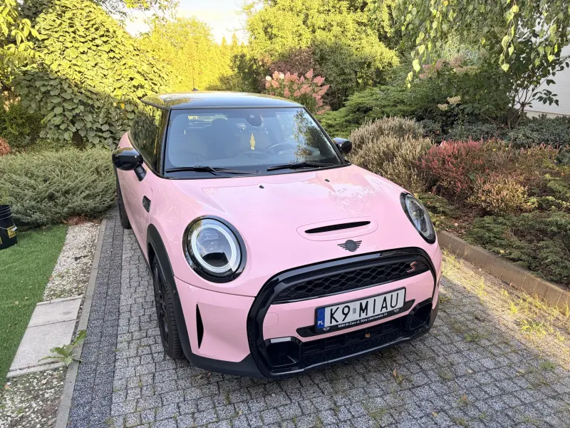 Różowe MINI Cooper S z tablicą K9 MIAU, przód z prawej strony